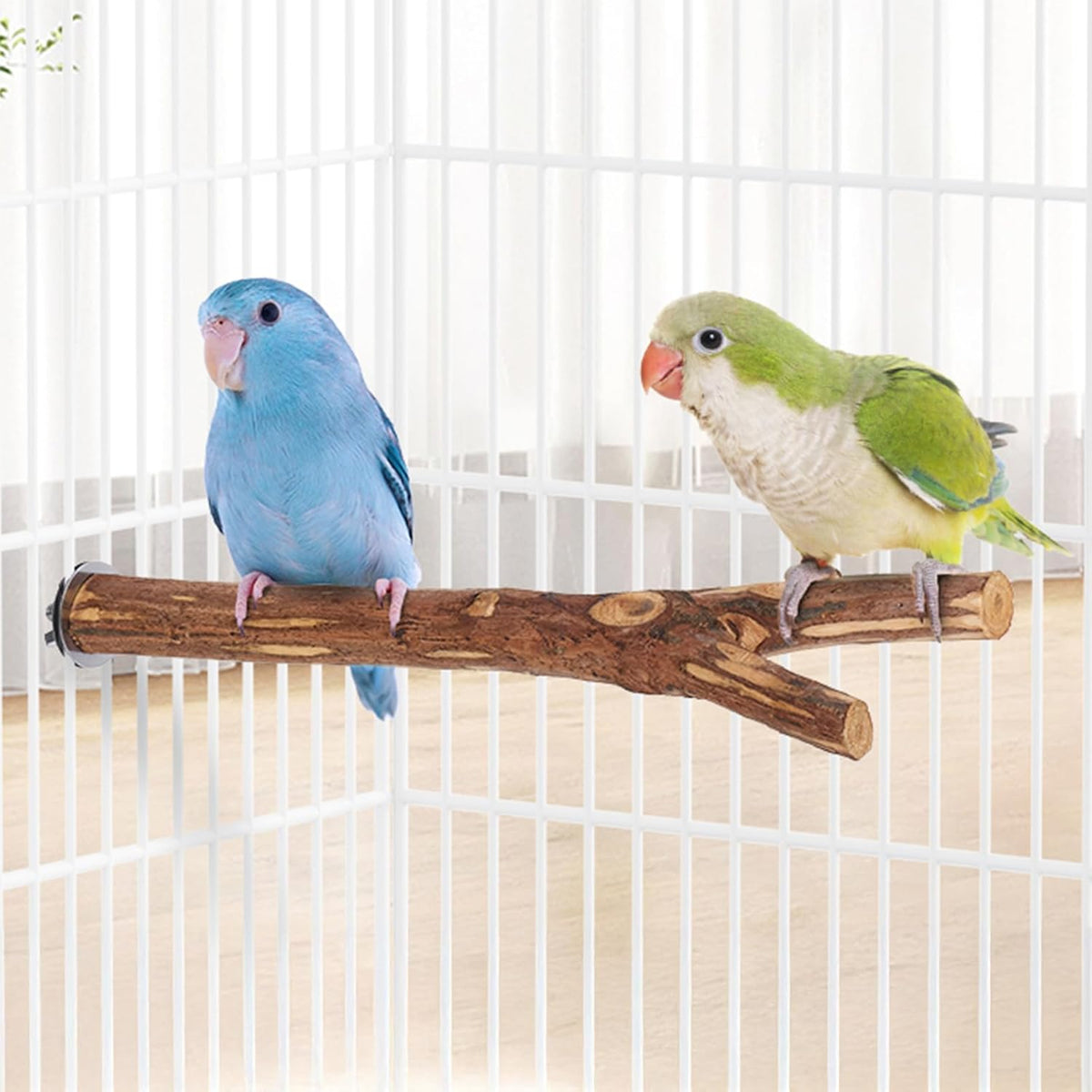 Niteangel Natural Wooden Perches for Bird Cages - Ideal for Cockatiels, Parakeets, Finches & Other