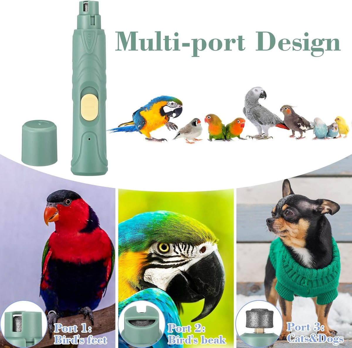 Lasnten 2 Pcs Bird Nail Grinder with Bird Nail Clipper Bird Nail Trimmer Bird Nail File with LED