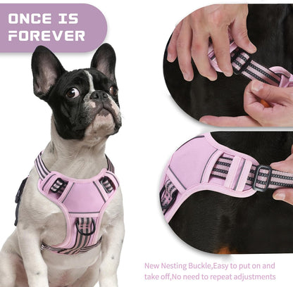 BUMBIN Dog Harness for Large Dogs, No Pull Adjustable No Choke Pet Vest with Dog Leash Fit Smart
