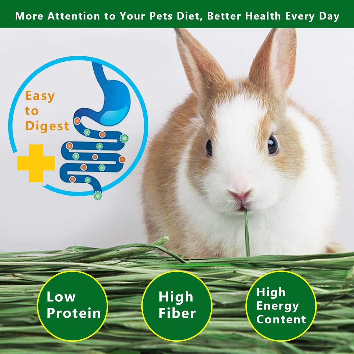 Timothy Hay Premium Hay for Rabbits Guinea Pig Chinchilla- Natural Fresh Hay Hand Selected 6.6LBS