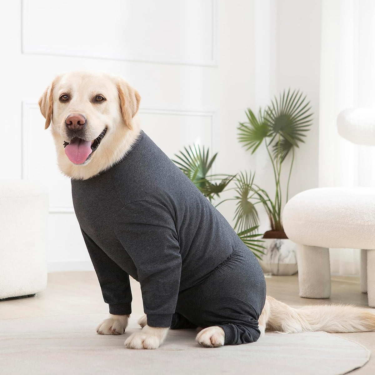 Yeapeeto Dog Onesie Surgery Recovery Suit for Large Medium Bodysuit Dogs Pajamas PJS Full Body for