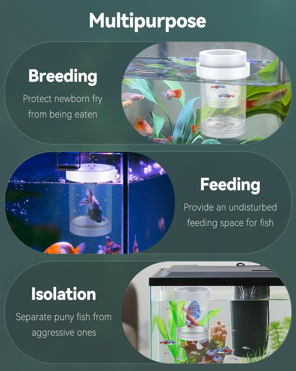 Pawfly Breeder Box for Fish Tank, Aquarium Fish Breeding Box, Floating Guppy Breeder Box, Baby Fish