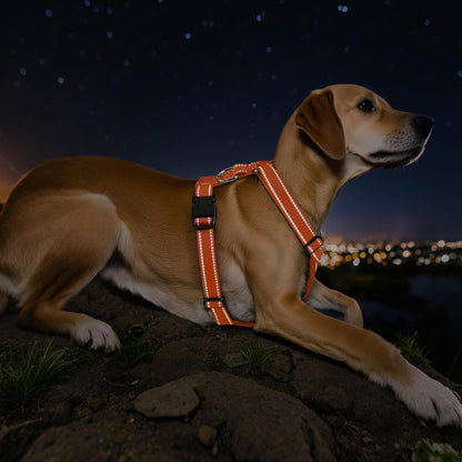 Dog Seat Belt Harness for Car, Dog Car Harness Adjustable Mesh Breathable & Dogs Seatbelt Safety