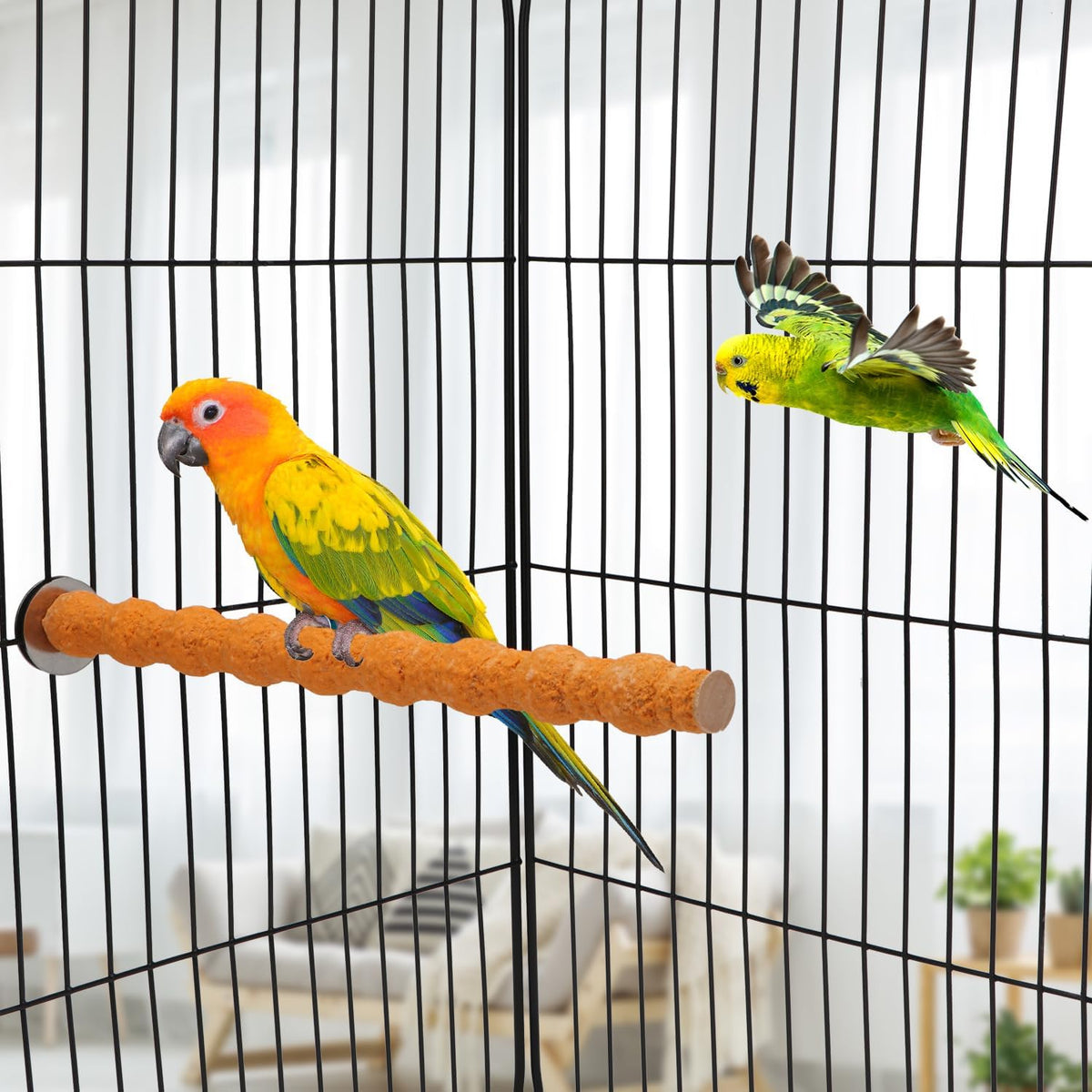 Hypeety Wood Perch Stand Paw Grinding Stick Toy Colorful Pet Bird Cage Stand Platform for Bird