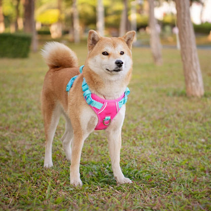PHOEPET No Pull Dog Harness, Unique Colors Reflective Adjustable Dog Vest, with Soft Training