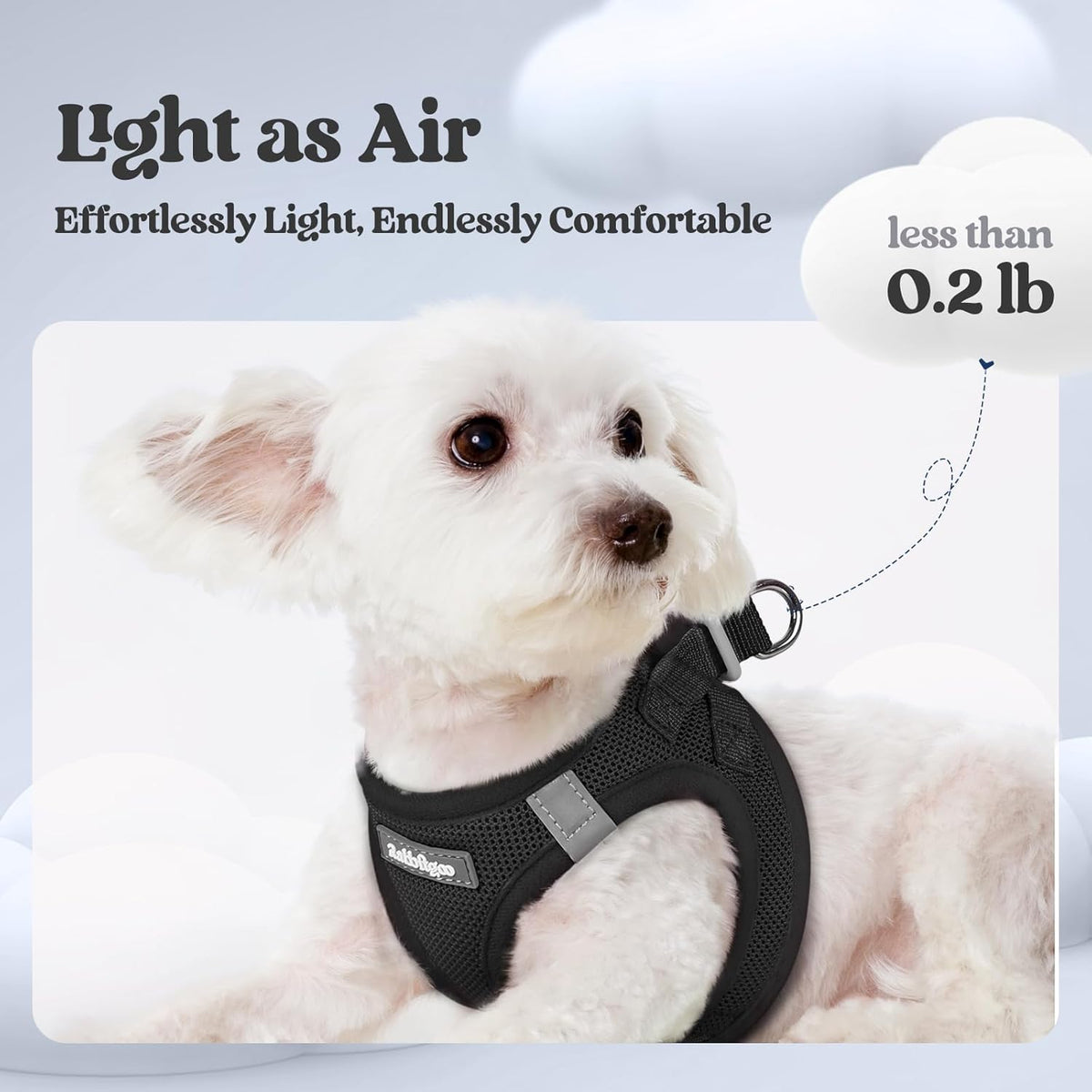 rabbitgoo Dog Harness Small Medium Sized and Leash Set, Step in Soft Light Puppy Vest, Breathable