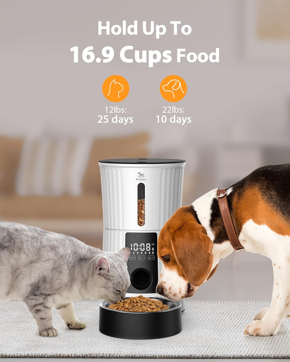Petory Automatic Cat Feeders - 4L Timed Cat Feeders for Dry Food Built-in Battery up to 6 Meals