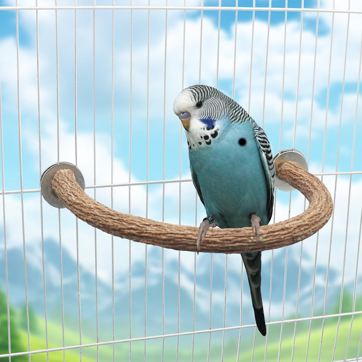 2 Pack Bird Perch Stand, Natural Wood U Shape Parrot Stand Pole, Bird Cage Accessories, Suitable