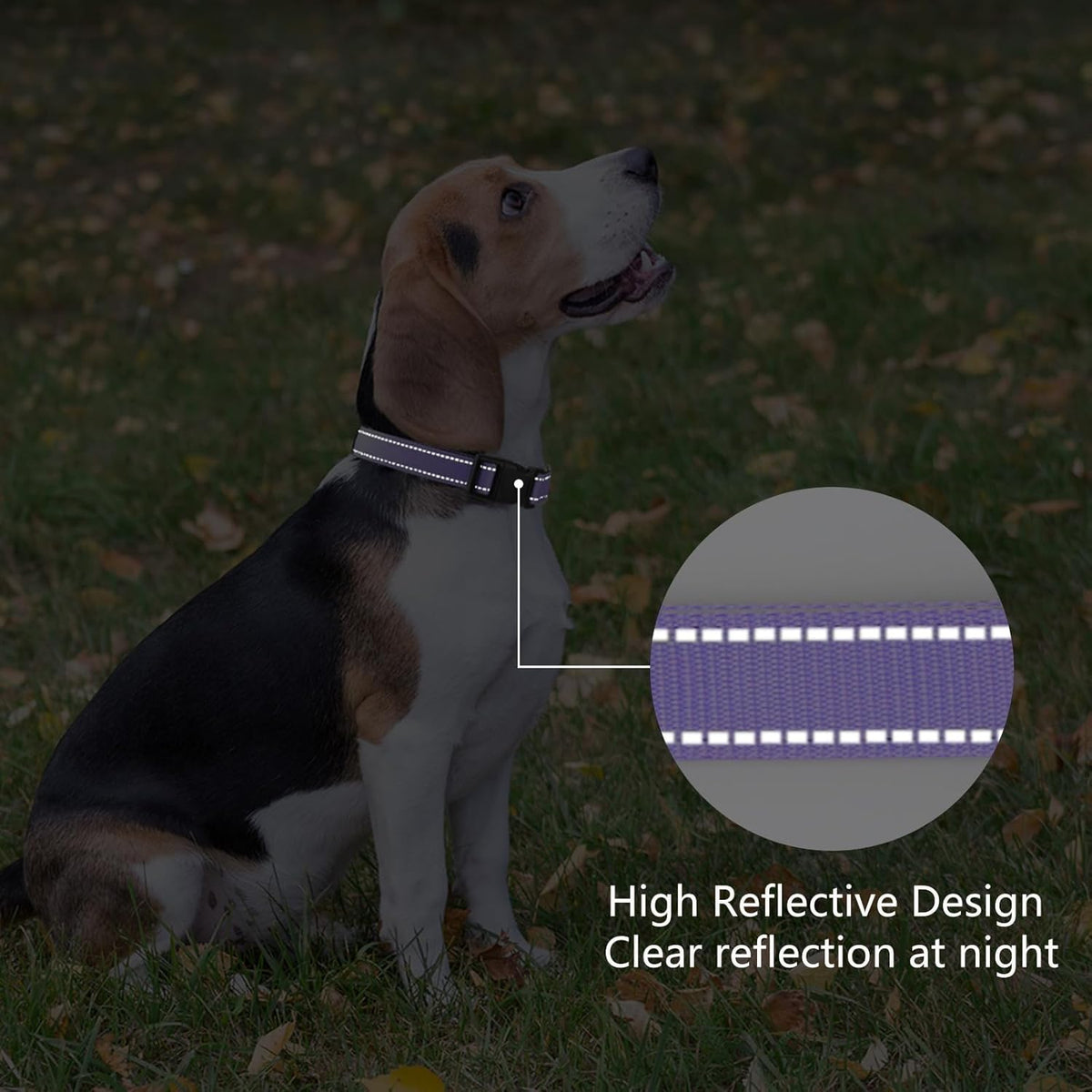 Reflective Dog Collar Padded with Soft Neoprene Breathable Quick Release Basic Dog Collars for