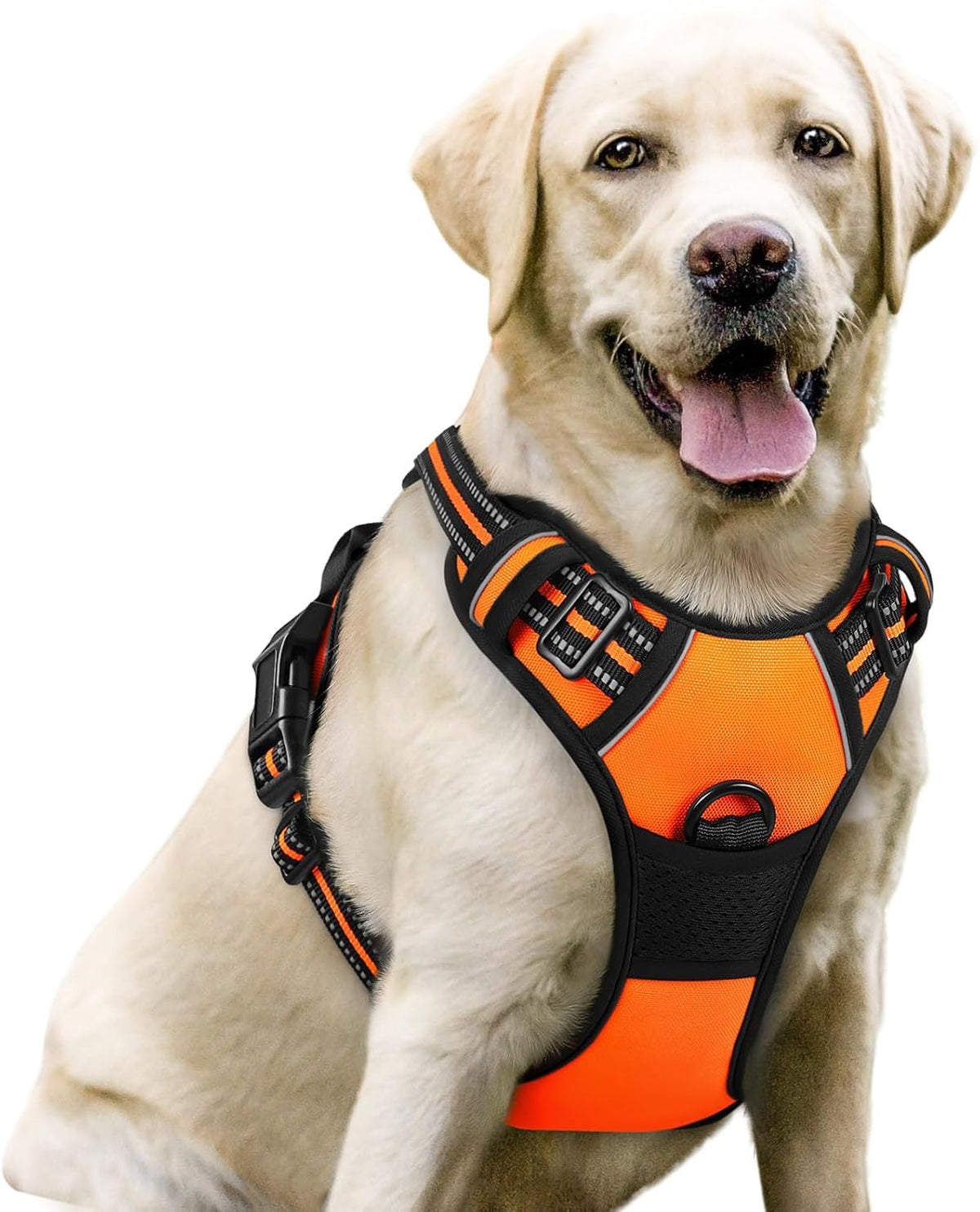 rabbitgoo Dog Harness No Pull with 2 Leash Clips, Adjustable Soft Padded, Reflective Oxford No