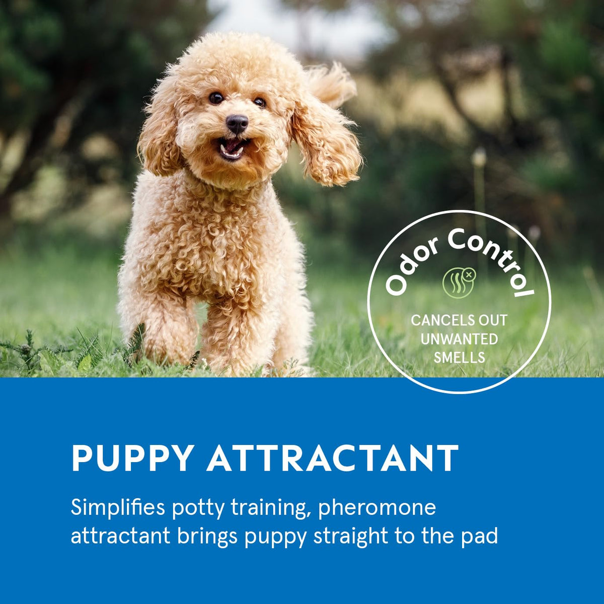 Puppy Pads Pet Pee Pads for Dogs & Puppy Training [100-COUNT] Potty Pads for Dogs 22" x 22"