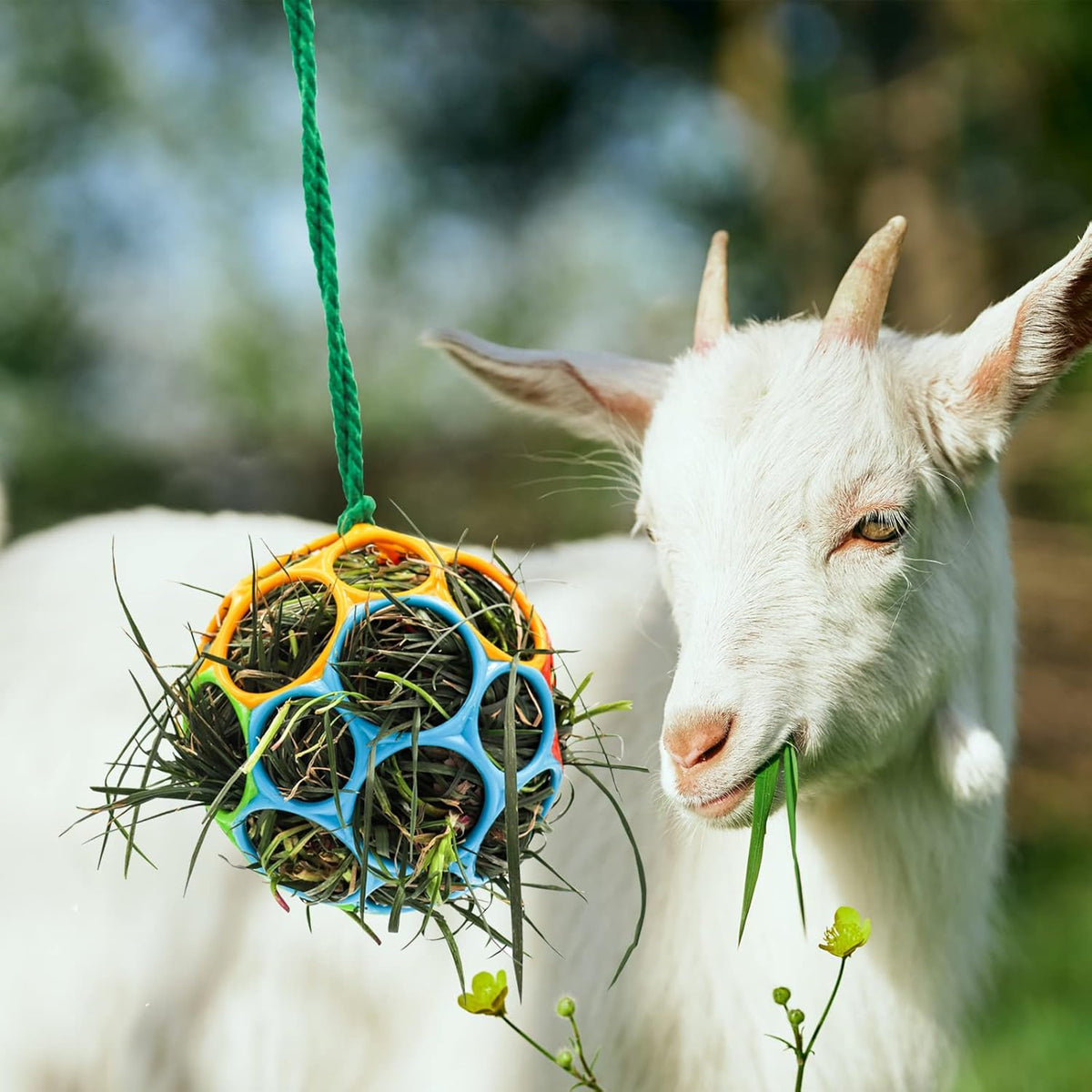 Besimple 2 Pack Horse Treat Ball Hay Feeder Toy, Goat Feeder Ball Hanging Feeding Toy for Horse