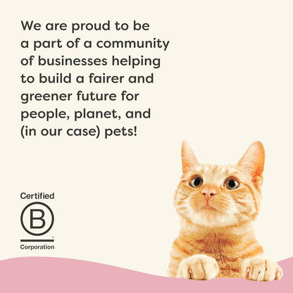 Applaws Vitality Wet Cat Food in Broth, Natural Canned Cat Food, Wet Food for Cats with Added