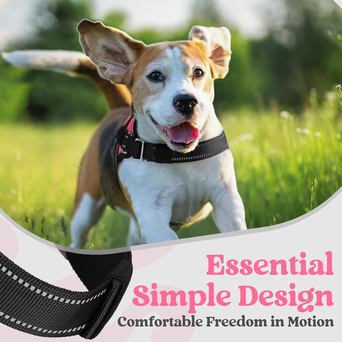 rabbitgoo Dog Harness for Small, Easy On Pet Vest with One Buckle, No Pull Adjustable Service
