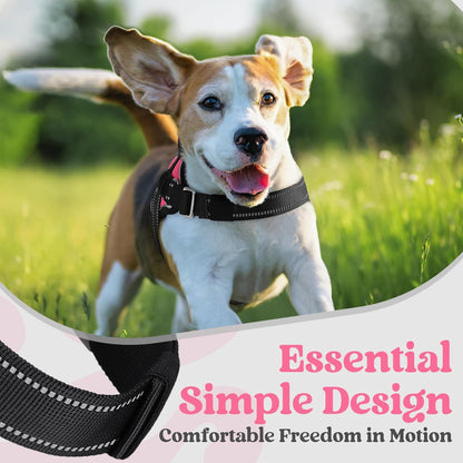 rabbitgoo Dog Harness for Small, Easy On Pet Vest with One Buckle, No Pull Adjustable Service