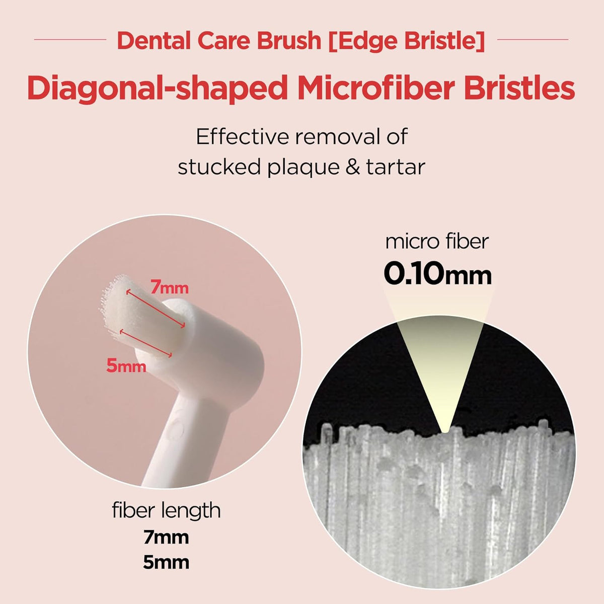 JAYU PET Dental Care Brush (Edge Bristles) 1ea - Micro Round Head Dog Toothbrush, Cat Toothbrush