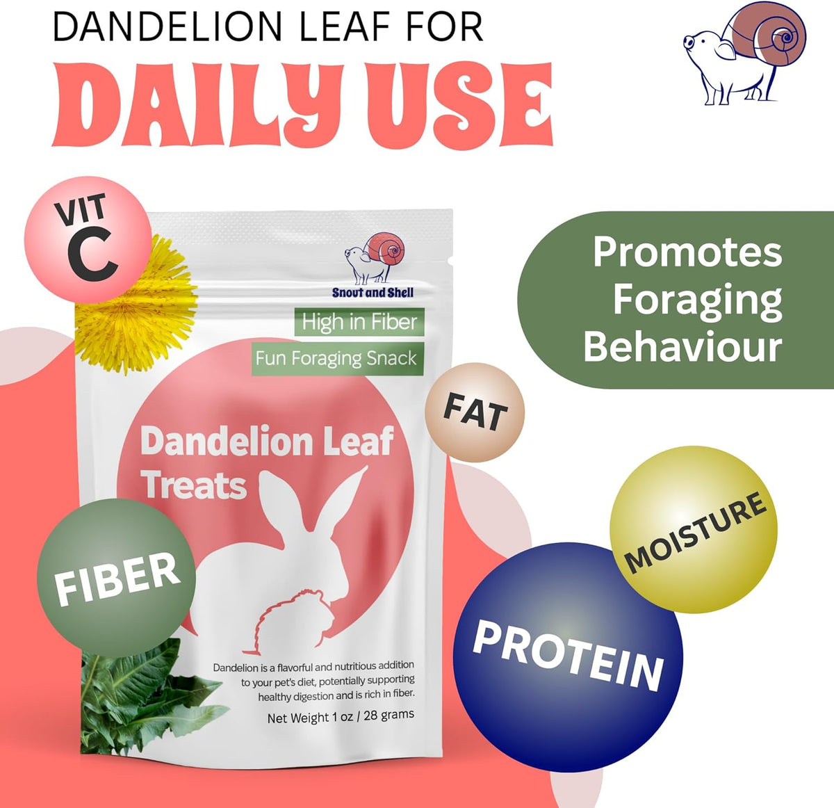 Snout and Shell Dandelion Leaf Treat for Small Pets – 1 oz (28g) | High-Fiber, Natural Foraging