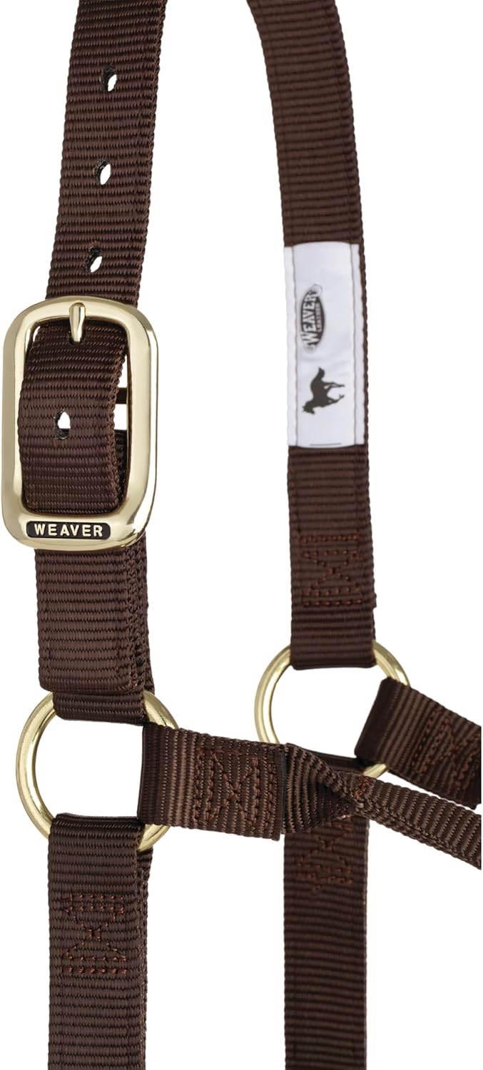 Weaver Equine Nylon Horse Halter, Triple-Ply Cheek Design, Original Non Adjustable Halters for
