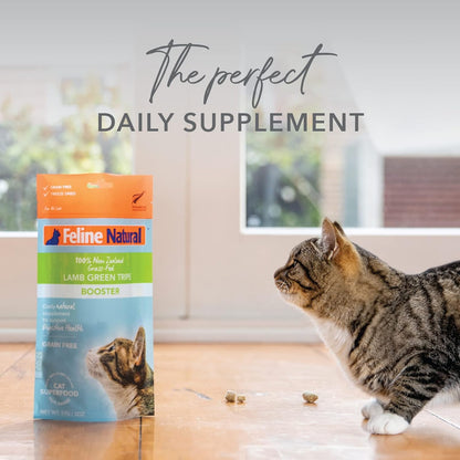 Feline Natural Freeze Dried Lamb Green Tripe Cat Food Supplement - Grain-Free High Protein Natural