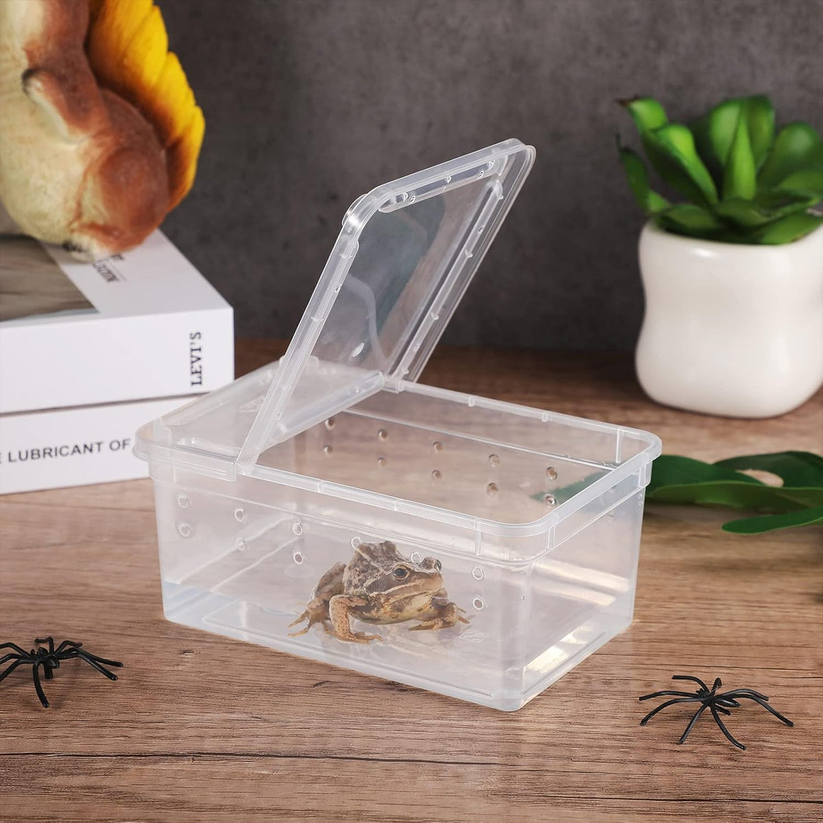 Irenare 8 Pcs Reptile Breeding Breeding Box Plastic Spider Terrarium Tarantula Feeding Box for