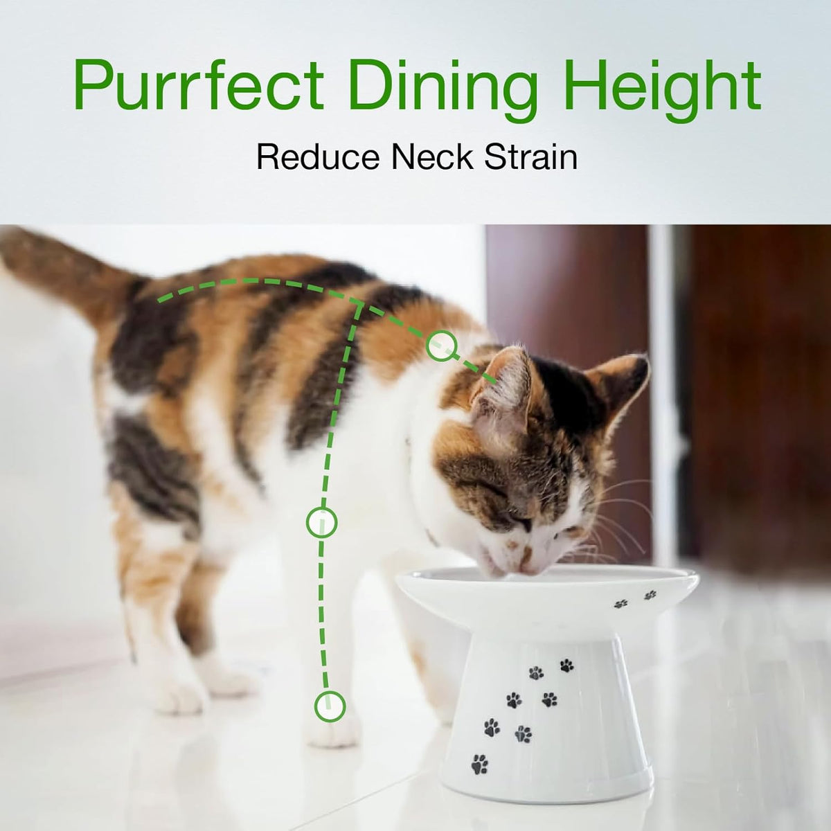 Necoichi Extra Wide Raised Cat Food Bowl, Elevated, Prevent Neck & Whisker Fatigue, Dishwasher and
