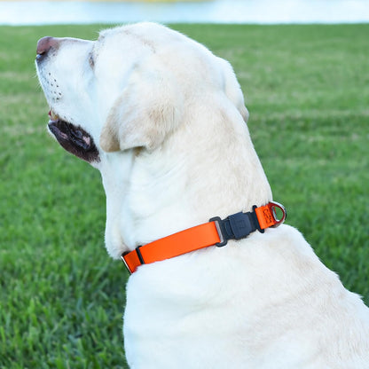 Dogline Biothane Waterproof Dog Collar with Herm Sprenger Stainless Steel Quick Release Buckle