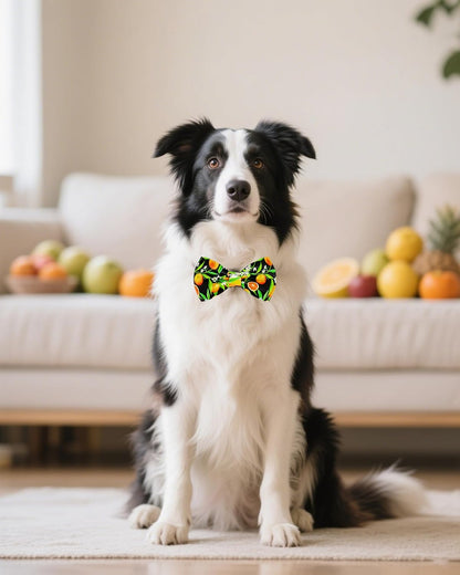 PET SHOW 10 Pack Fruit Big Dog Bow Ties for Large Medium Dogs Sliding Collar Attachments Strawberry