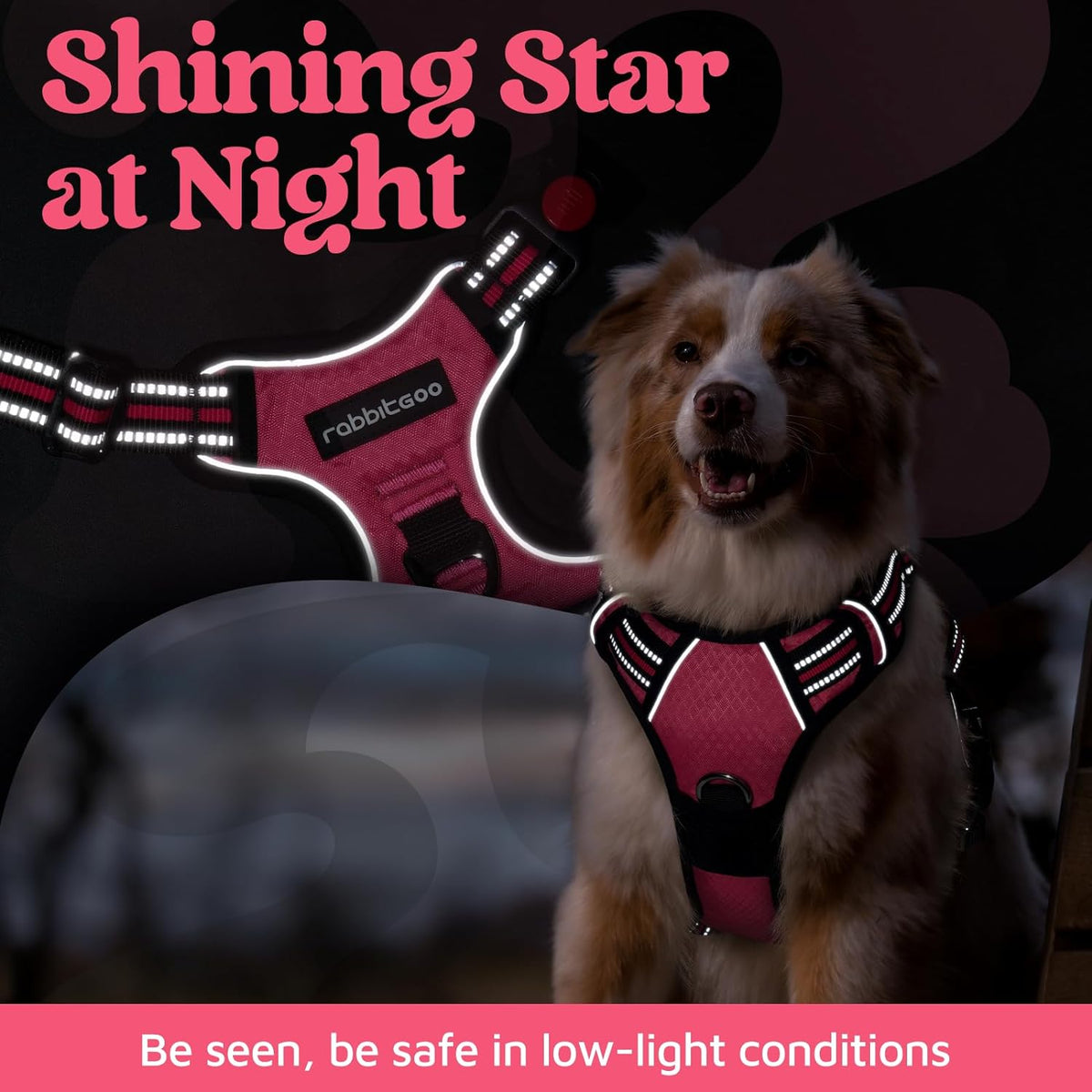 rabbitgoo Dog Harness Small Sized, No Pull Dog Vest with 3 Buckles, Adjustable Soft Padded Pet