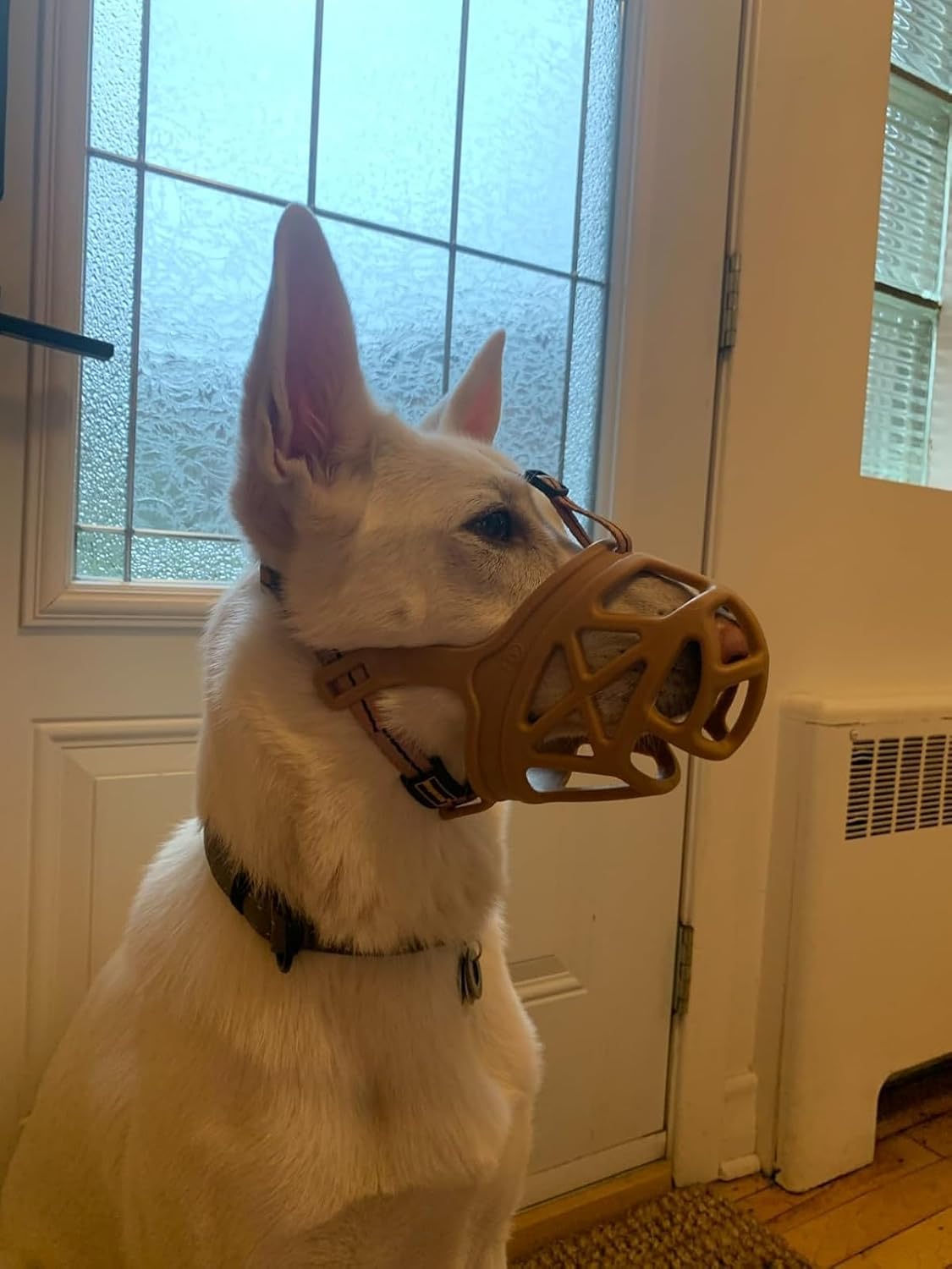 Mayerzon Dog Muzzle, Breathable Basket Muzzles for Small, Medium, Large and X-Large Aggressive Dogs