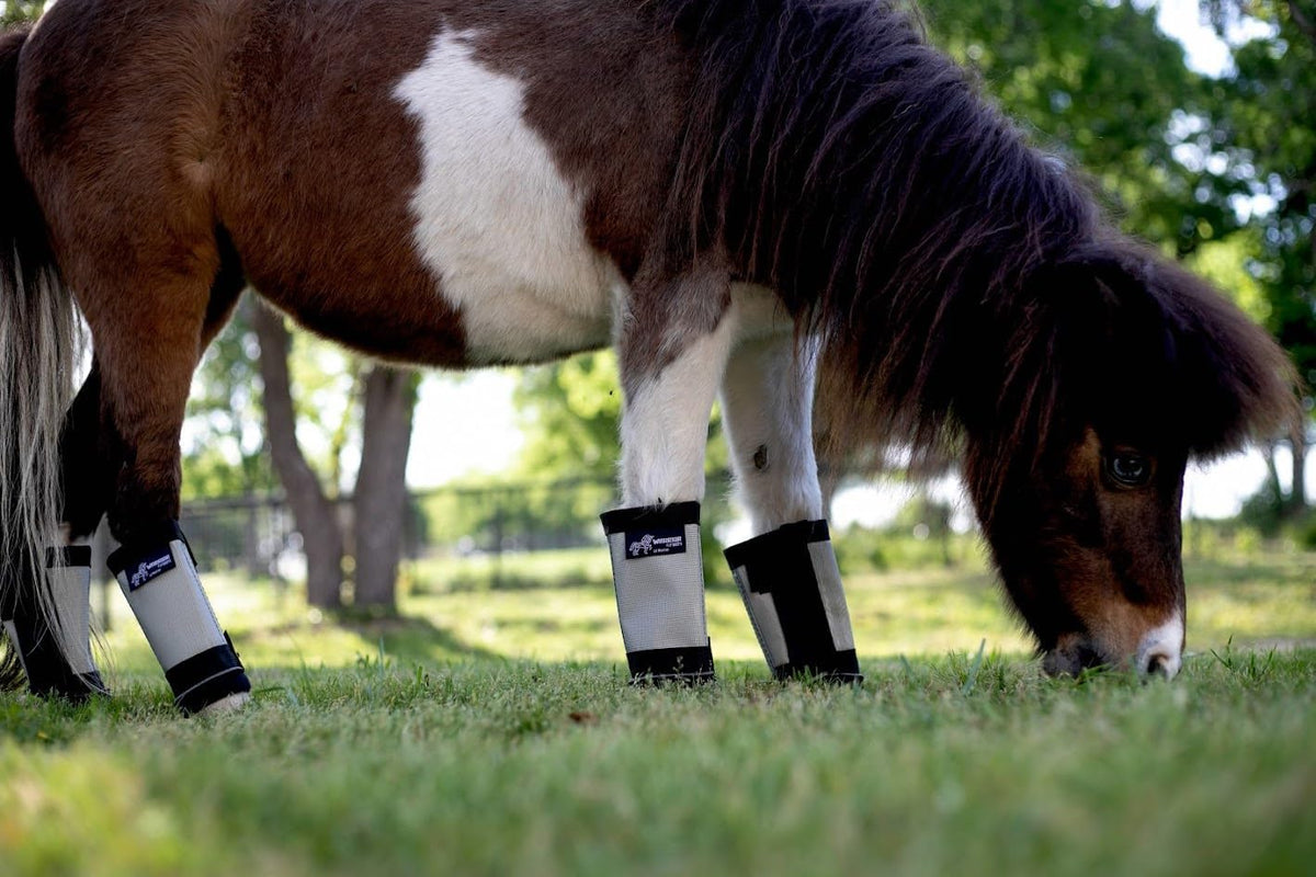 Warrior Fly Boots for Horses - Breathable Mesh Horse Boots for Fly Protection & Leg Comfort - Set