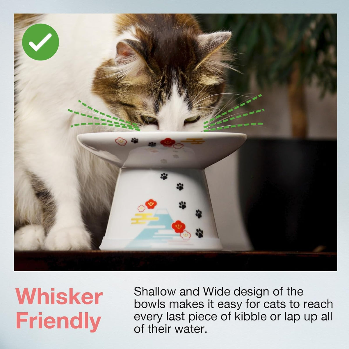 Necoichi Raised Cat Food Bowl – Ceramic Elevated Cat Bowl for Whisker & Neck Fatigue, Dishwasher