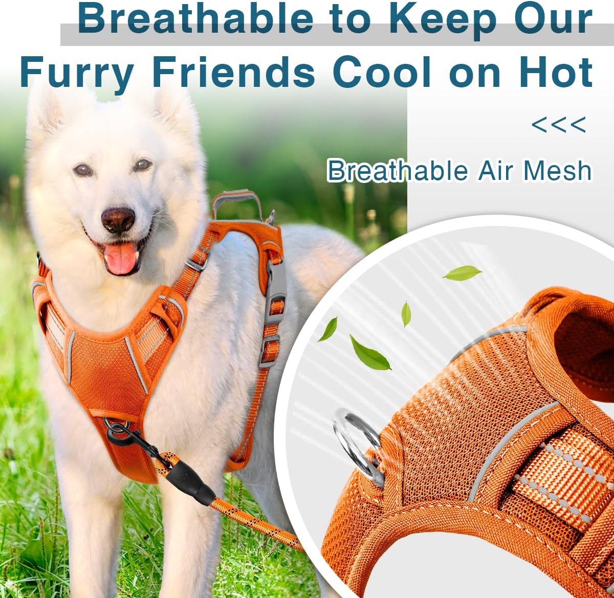 BARKBAY Dog Harness No Pull with ID Tag Pocket - Heavy Duty, Reflective, Easy Control for Large