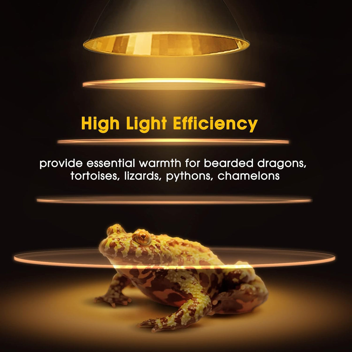 Briignite Reptile Heat Bulb 2 Pack, 50W UVA UVB Reptile Light Bulbs, Dimmable Heat Lamp Bulbs