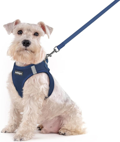 rabbitgoo Dog Harness Small Sized and Leash Set, Step in Soft Light Puppy Vest, Breathable Mesh Pet