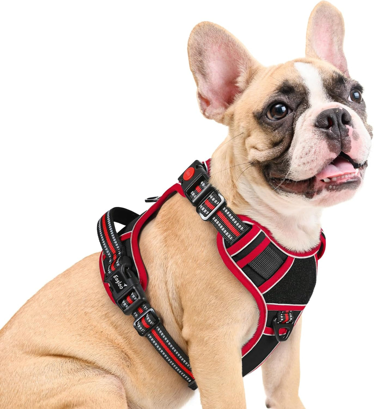 Eagloo Dog Harness Medium Sized, Easy Wearing with 3 Buckles, Adjustable No Pull Pet Harness with 2