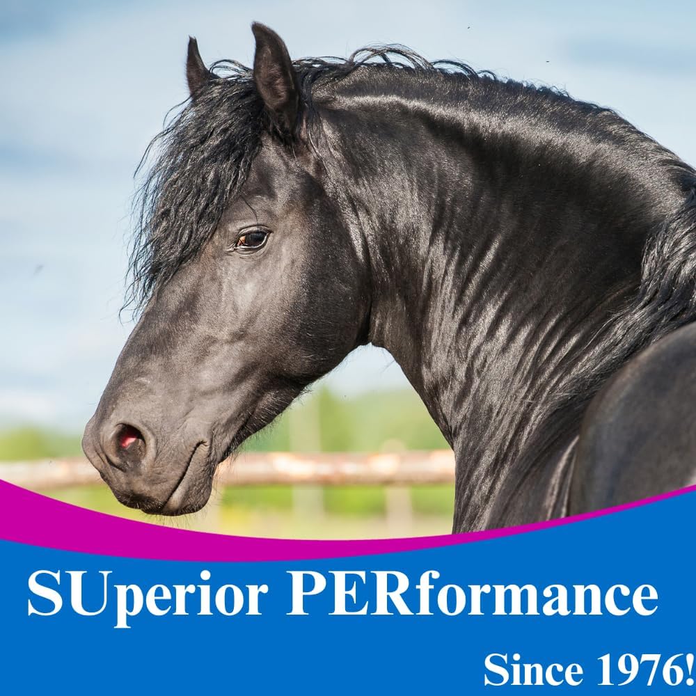 SU-PER Gain Weight for Horses - Equine Supplement Weight Gainer for Horses - Promotes Lean Muscle