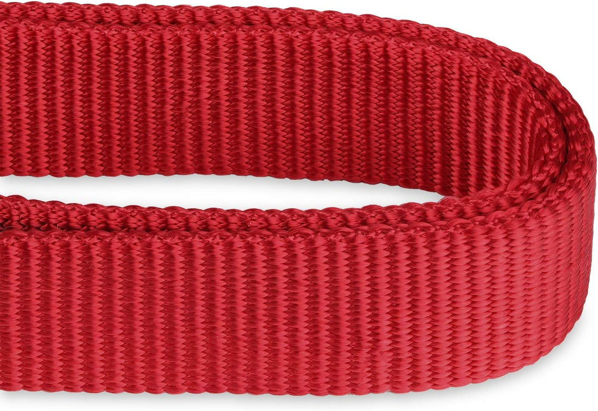 Hyhug Martingale Buckle - Free Dog Collar: Non - Slip Heavy - Duty Nylon, Escape - Proof, Colorfast