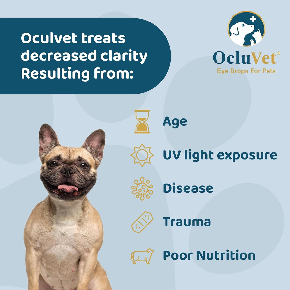 Eye Drops for Pets | Clinically Studied Antioxidants for Pets with Cataracts | Made in The USA |