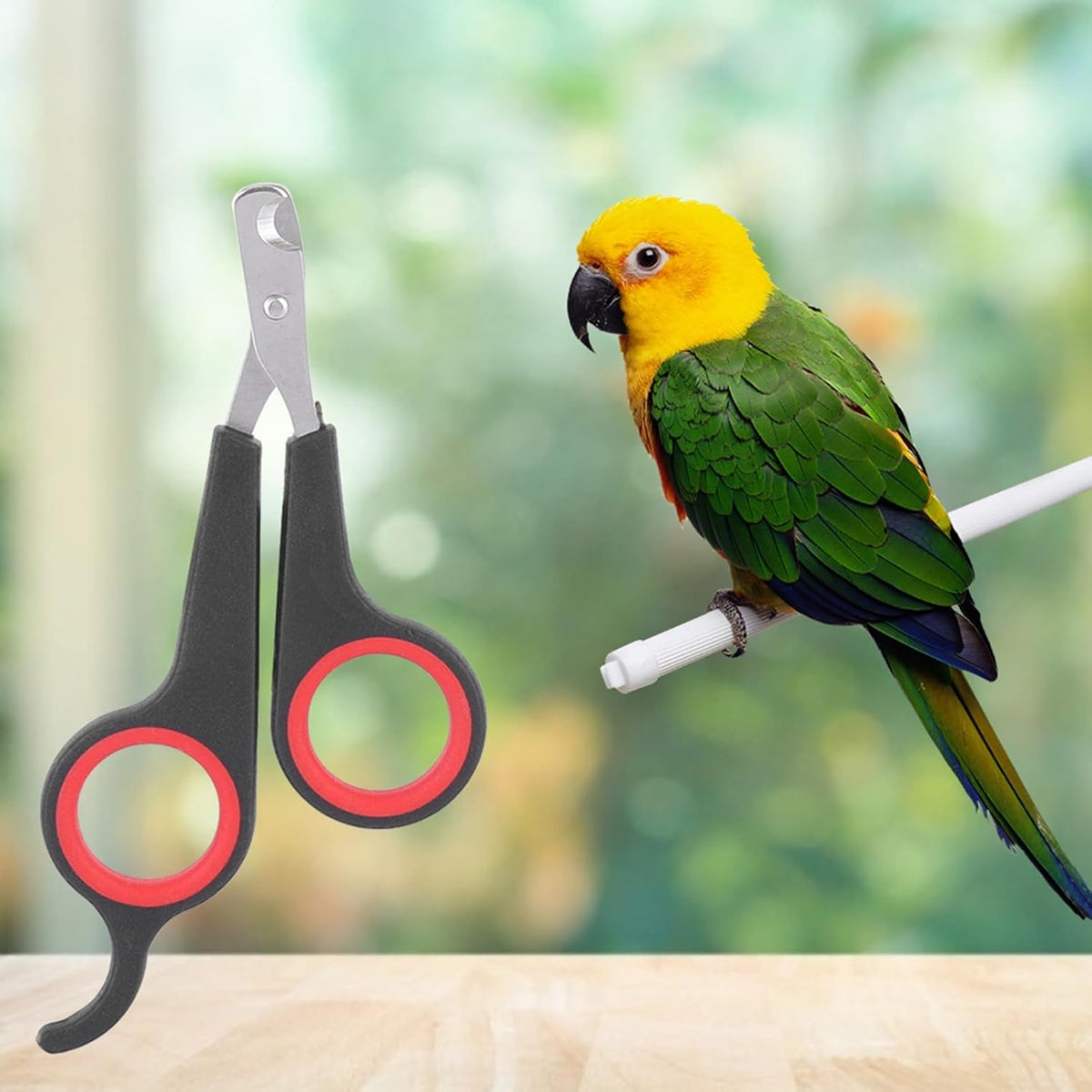 Cat Nail Trimmer, Pet Nail Clippers, Stainless Steel Bird Nail Clippers, Comfortable Cat Nail