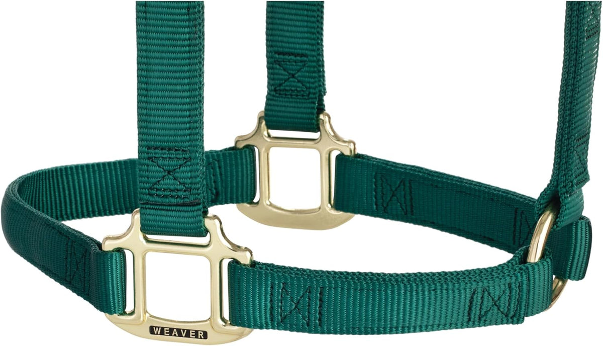 Weaver Equine Nylon Horse Halter, Triple-Ply Cheek Design, Original Non Adjustable Halters for