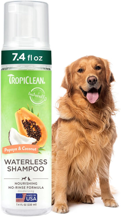 TropiClean No Rinse Waterless Dog Shampoo | Detangling & Deodorizing Dry Shampoo for Smelly Pets |