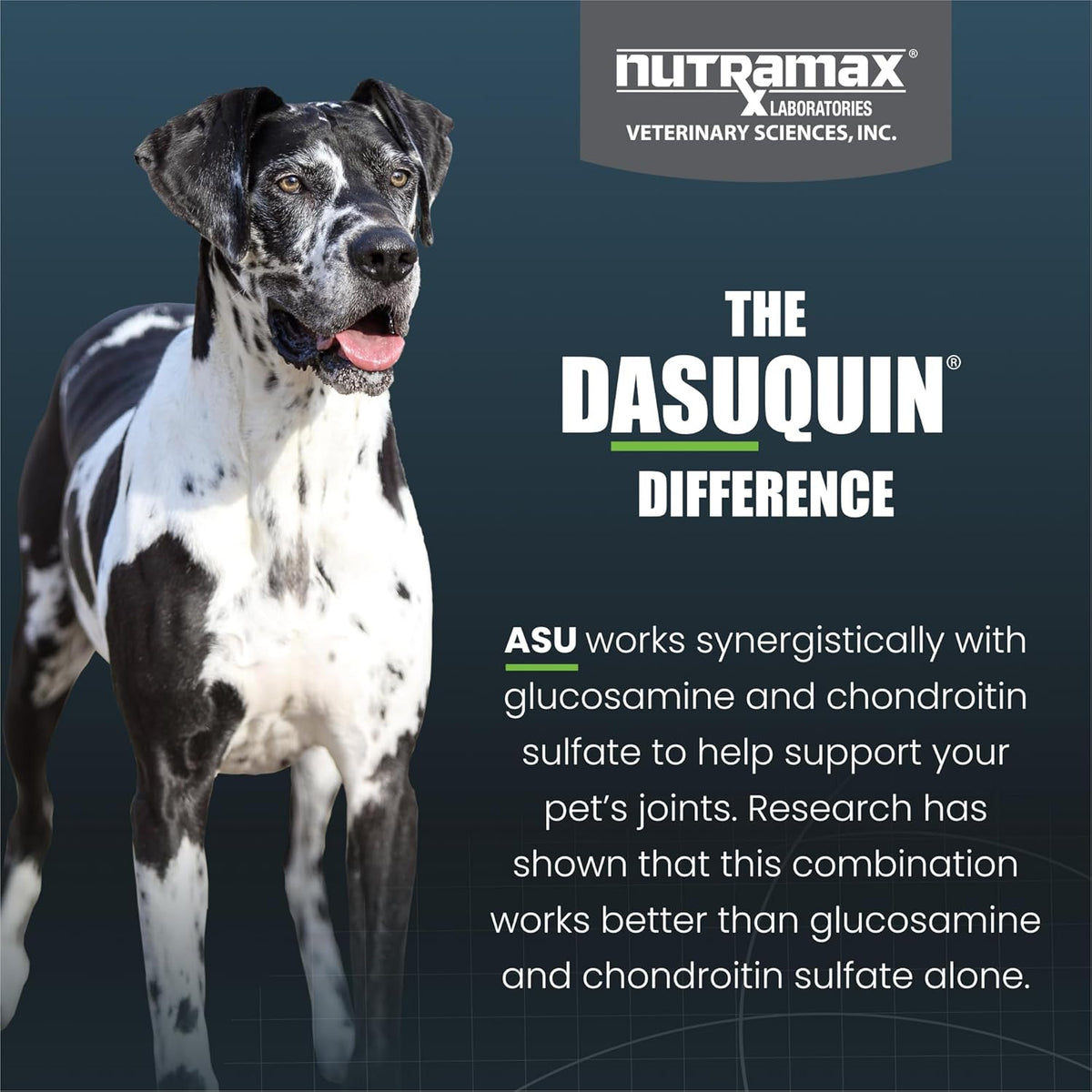 Nutramax Laboratories Dasuquin Joint Health Supplement for Large Dogs - With Glucosamine