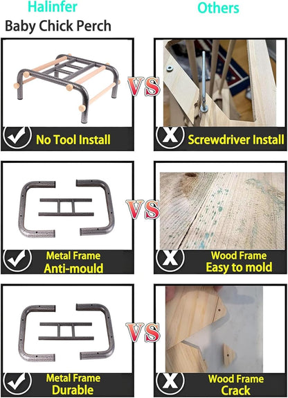 Metal Ladder Large Bird Training Perch for Fun and Exercising, No Tool Quick Install Heavy-Duty