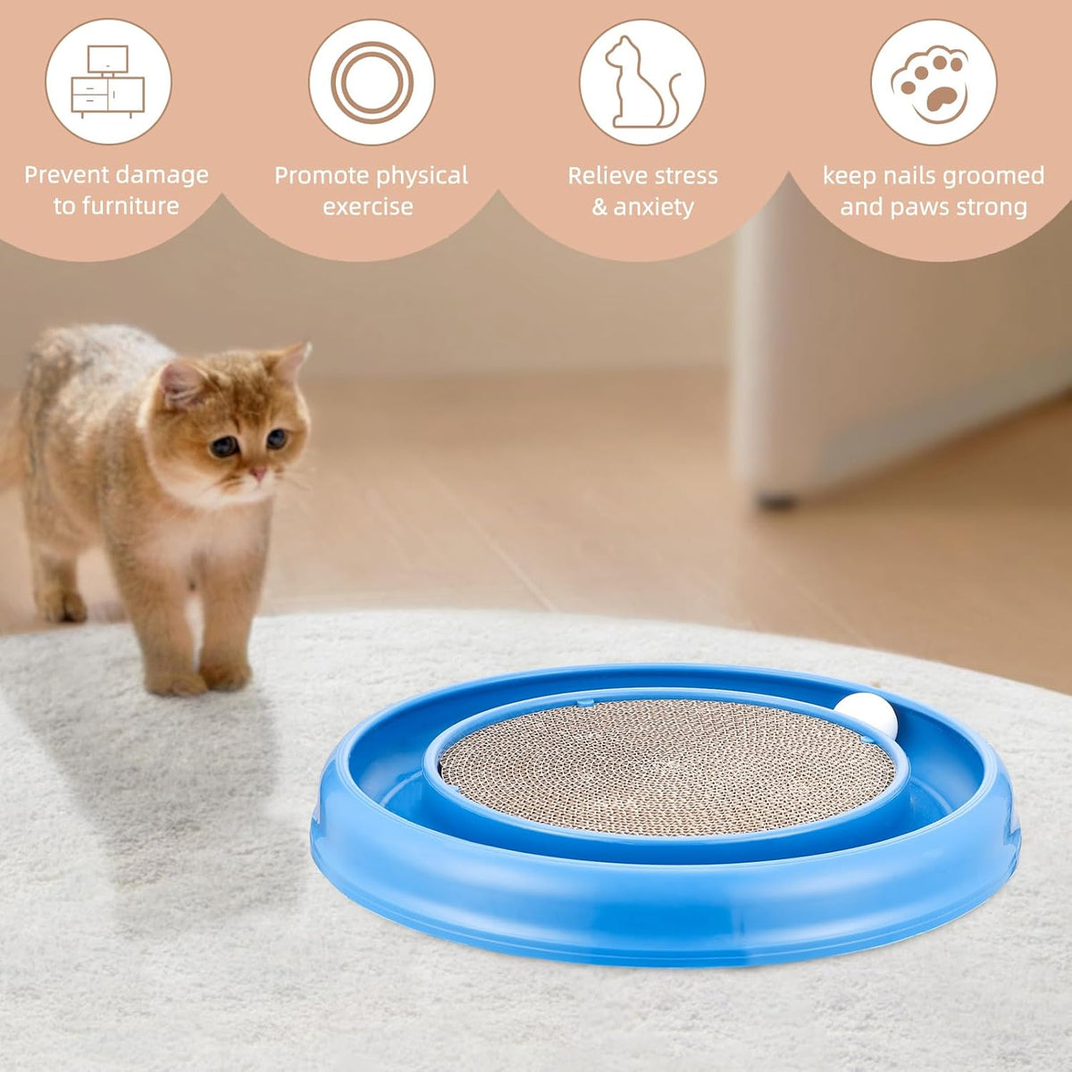 Cat Scratching Board with Balls for Cats Grinding Claw, Round Cat Scratcher Interactive Toy, Cat