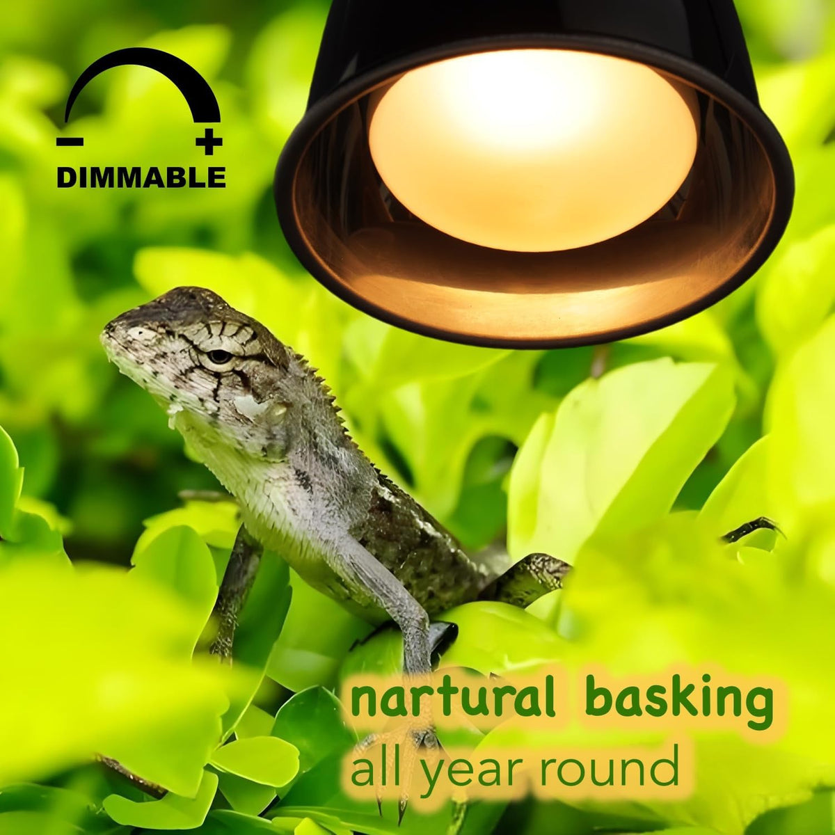 MRREPTILE Reptile Heat Lamp Bulbs, 2-Pack 100W Daylight Basking Bulbs, Reptile Basking Lamps