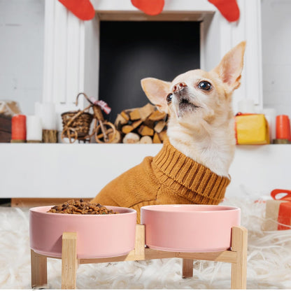 Elevated Ceramic Dog Bowl Set - Raised Feeding Bowls with Non-Slip Bamboo Stand - Small Pet Dishes