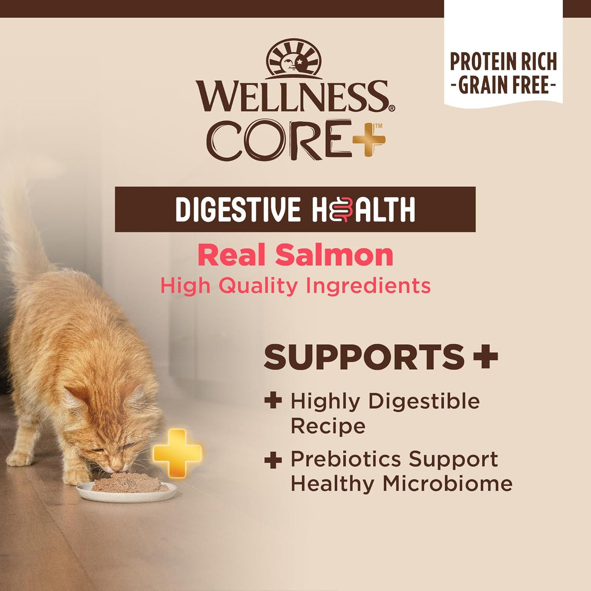 Wellness CORE+ Digestive Health Pate Adult Wet Cat Food, Natural, Protein-Rich, Grain Free, 3