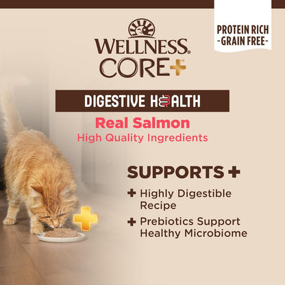 Wellness CORE+ Digestive Health Pate Adult Wet Cat Food, Natural, Protein-Rich, Grain Free, 3