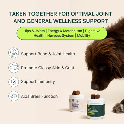 Wuffes 23-in-1 Chewable Dog Multivitamin&Supplements Bundle - Dog Multivitamin for Small&Large