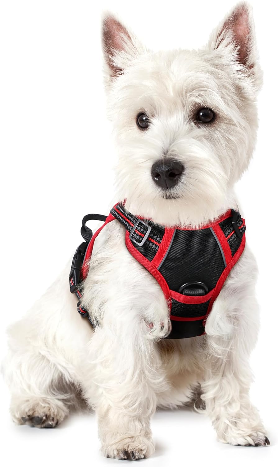 rabbitgoo Dog Harness No Pull with 2 Leash Clips, Adjustable Soft Padded, Reflective Oxford No